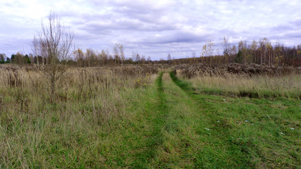 landscape with river