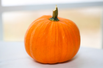 pumpkin isolated on white background - Image