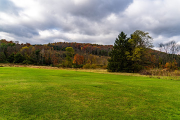 Fototapeta na wymiar Autumn Field