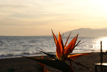 sunset on beach