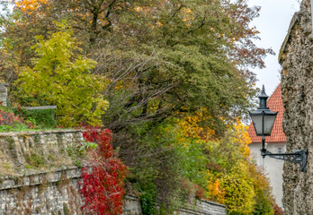 Autumn street with yellow foliage on the trees, street lights and building walls in european old town