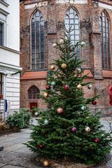 Old house. Traditional spruce Christmas tree decorated with colorful shiny balls on background of old gothic building brick wall with arch windows. New Year celebration in Europe.