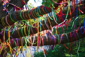Colored ribbons around the branches of a tree, diversity, discrimination, racism, lgbt, conceptual