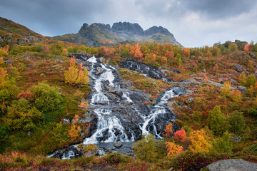 Beautiful waterfall among the autumn forest and mountains. on the road to  Mount Munkan  and to the houses of Munkebu on the Lofoten Islands, Norway