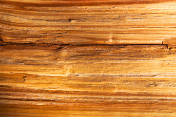 Fototapeta premium beautiful two-tone texture with natural pattern on the trunk of the tree top view