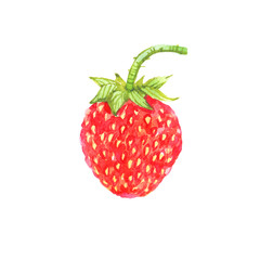 Red strawberry closeup watercolor illustration, isolated on white background