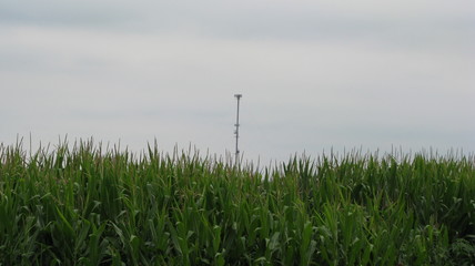 cell tower over a field