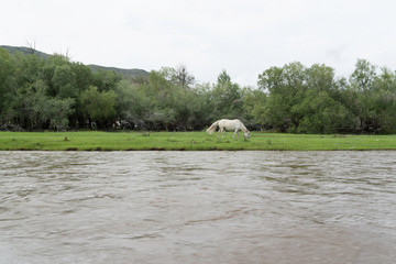 Mongolian landscape along river Ider