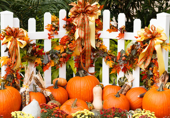 An October Halloween scene showing pumpkins and gourds