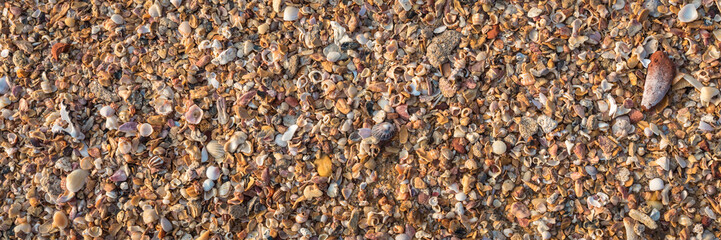 Beach sand texture. Broken seashells background. Colorful sand surface of a beach with clear sea water. Waves. Wall paper. Header. Banner.
