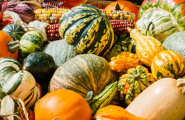 An October Halloween scene showing pumpkins and gourds