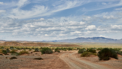 Fototapeta na wymiar Roads and directions in the Gobi Desert, Mongolia