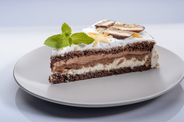 delicious cake with chocolate cream on a gray plate2