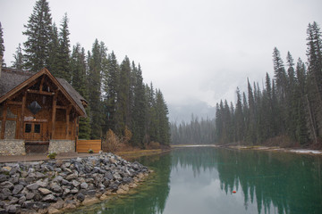 Obraz premium house in forest