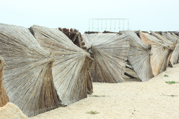 Straw umbrellas on an empty beach on a foggy day. Rainy cold weather on the sea coast. Travel...