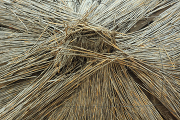 Straw umbrellas on an empty beach on a foggy day. Rainy cold weather on the sea coast. Travel...