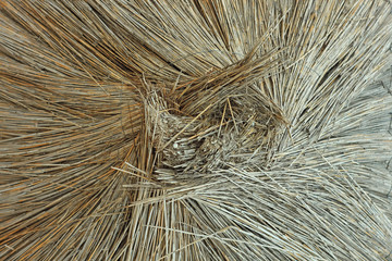 Straw umbrellas on an empty beach on a foggy day. Rainy cold weather on the sea coast. Travel photography.