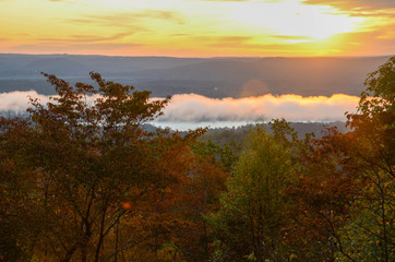 View of the fog covered valley below. Taken from the top of Morrow Mountain State Part NC