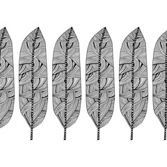 Decorative, ornate bird feathers. Black and white outline illustration for coloring book and page.