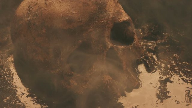 Skull In Hot Dirty Swamp