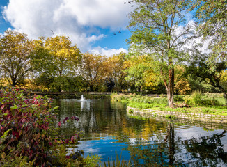 Fototapeta premium Beautiful autumn scene outdoors in Bishop public park with orange colored trees reflected in a pond in a sunny day in London