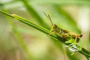 Derniers rayons....! - Last rays ....!
