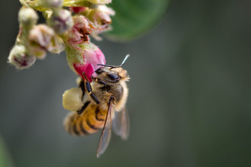 Gourmande à plein temps....!