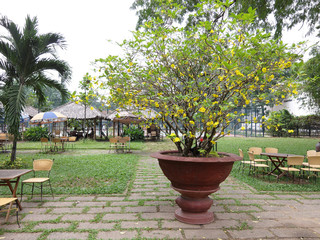 A botanical garden in Ho Chi Minh City, Saigon, Vietnam