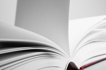 Closeup view of open book on light background