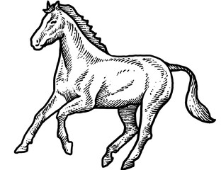 Engraving style horse design
