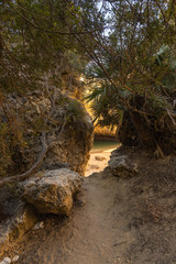 Obraz premium Coast of the Algarve area in Portugal.