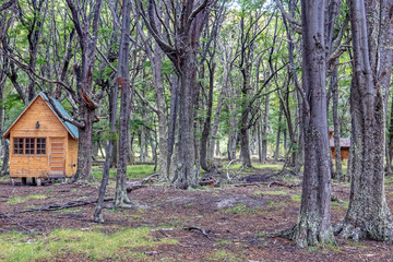 Wooden mobile homes in the woods.