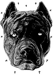 Dog design unique illustration