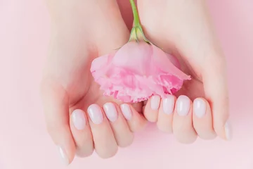  Solid manicure on girl nails with gel polish, hands holding flower on pink background. Concept natural organic skin care © Parilov
