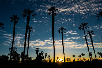 sunset on mission bay