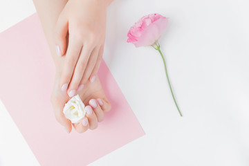 Close-up beautiful sophisticated female hands with pink flowers on white background. Concept care, anti-wrinkles, anti-aging cream, spa