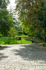 garden in park