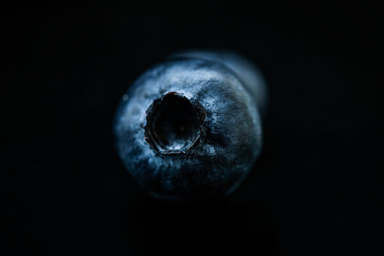 Blueberry macro photography. Studio shot of a ripe blueberry (Vaccinium corymbosum) against Black Background.