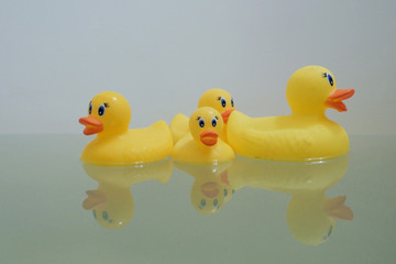 Yellow rubber ducks are swimming in the bath.