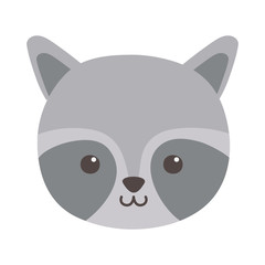cute raccoon head animal on white background