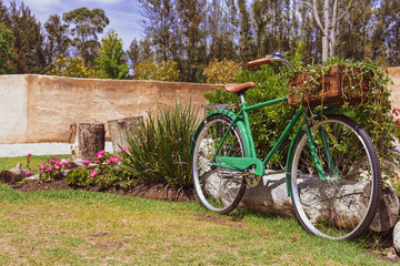 Fototapeta na wymiar Bicicleta vintage color verde con canastilla al frente estacionada en jardín de Val quírico Tlaxcala