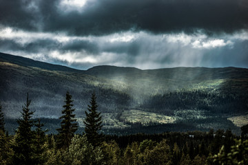 Clouds and forest in jämtland sweden