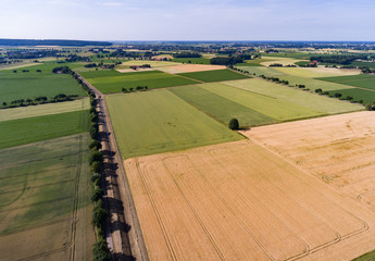 Luftfoto - Getreidefelder eingeteilt - Flurbereinigung