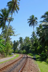 Obraz premium Railway in Sri Lanka. Vertical photo.