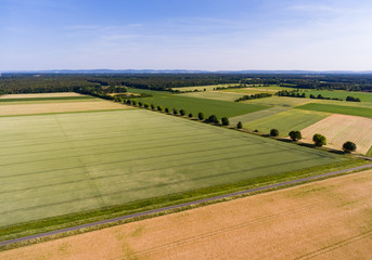 Luftaufnahme - Getreidefelder mit Fahrspuren