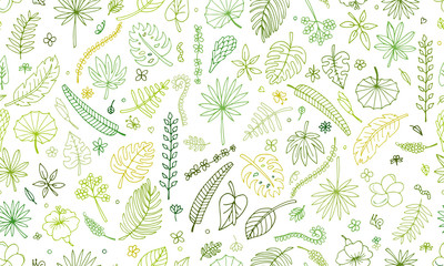 Fototapeta na wymiar Tropical plants, seamless pattern