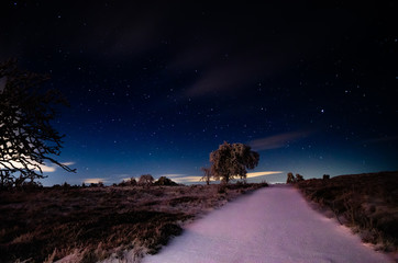 Eine Sternenklare Nacht bei einem Sehr schönen Schnee Weg mit einerm Baum auf der Seite 