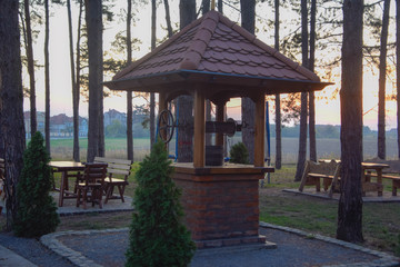 Naklejka premium the well in the forest with the sunset in the back of the picture