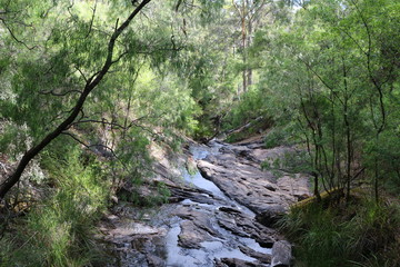 The Greater Beedelup Nationalpark,  Pemberton Western Australia