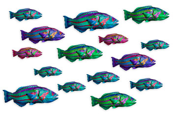 set of fishes